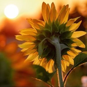 Meet your Posher, Daniela